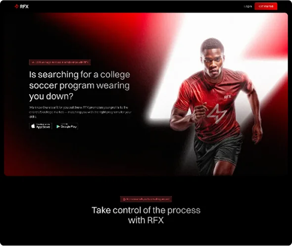 Portfolio Example 2